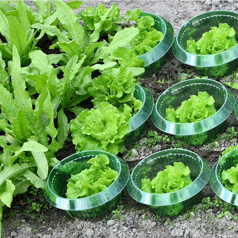 Protège-légumes réutilisables : Colliers anti-limaces et anti-vermicelles pour plantes de jardin