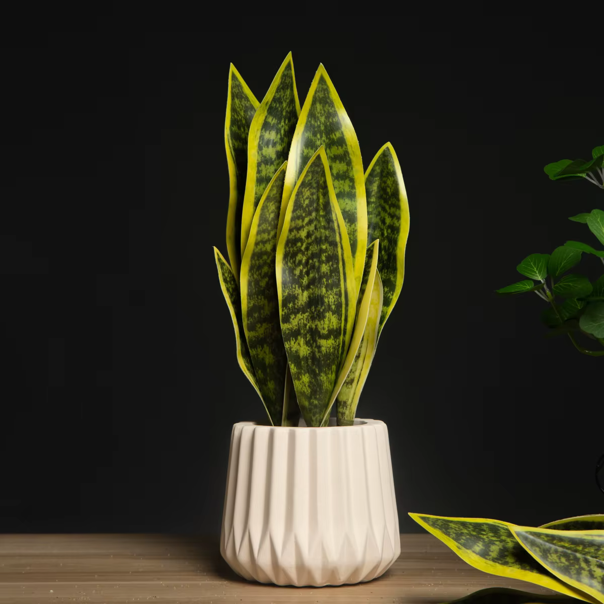32/37cm plantes succulentes artificielles fausse Sansevieria intérieur fourrure de tigre tropicale