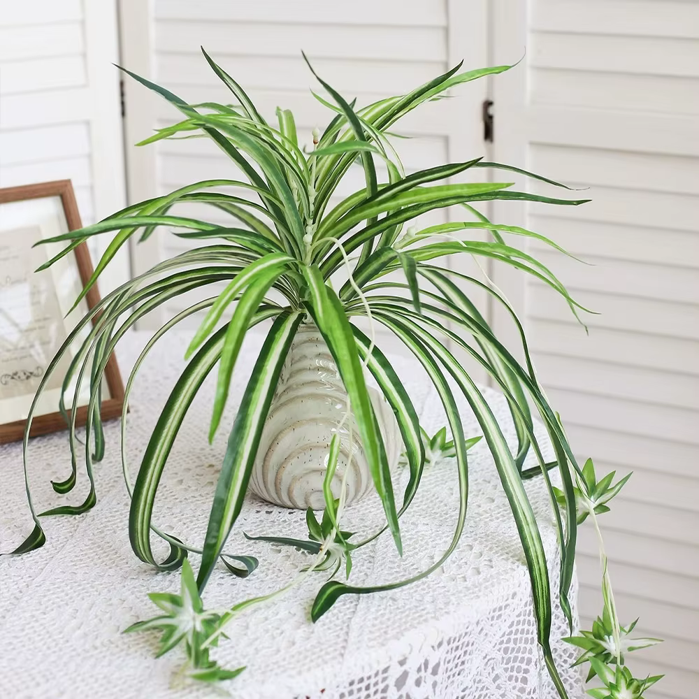 Plantes artificielles factice combo publicité plastique
