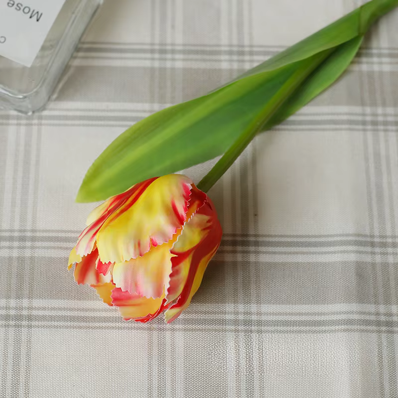 InjFlower-Perroquet Élà une branche