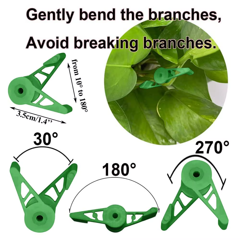 Clips d'entraînement pour cintreuse de Branches de plantes