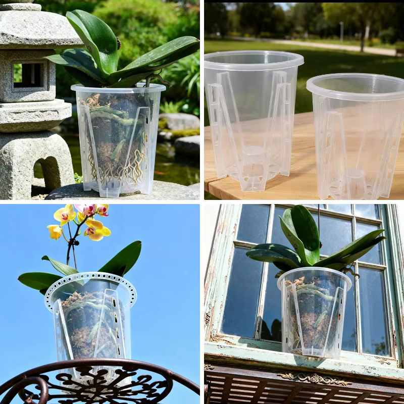 Pots d'orchidées transparents avec trous
