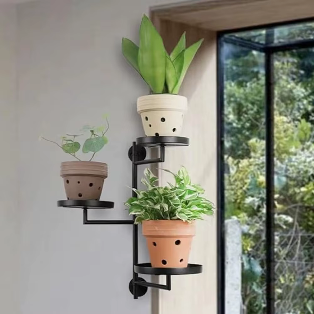 Support de plantes rotatif pour fenêtre en pot