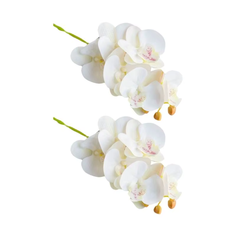 E8BD – lot 2 fleurs d'orchidées papillon