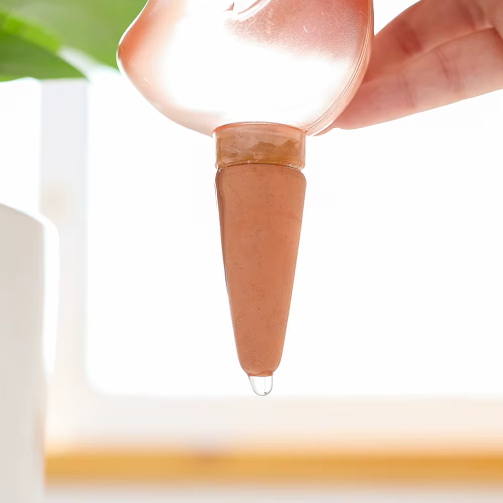 Arrosage automatique des plantes
