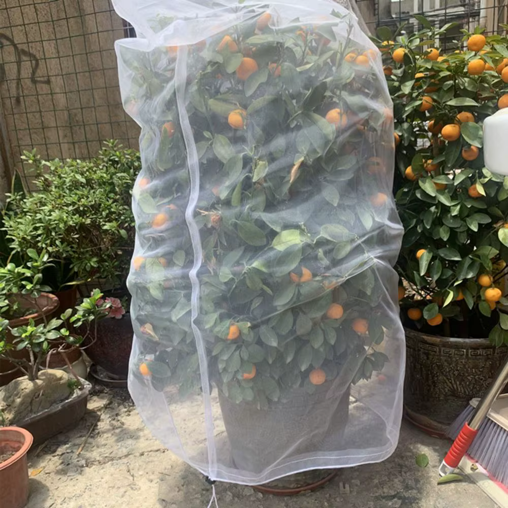 Couverture de plantes Anti-gel