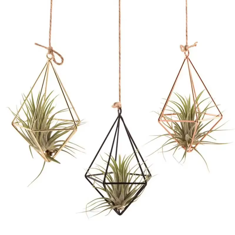 Cintre mural moderne en macramé pour fleurs
