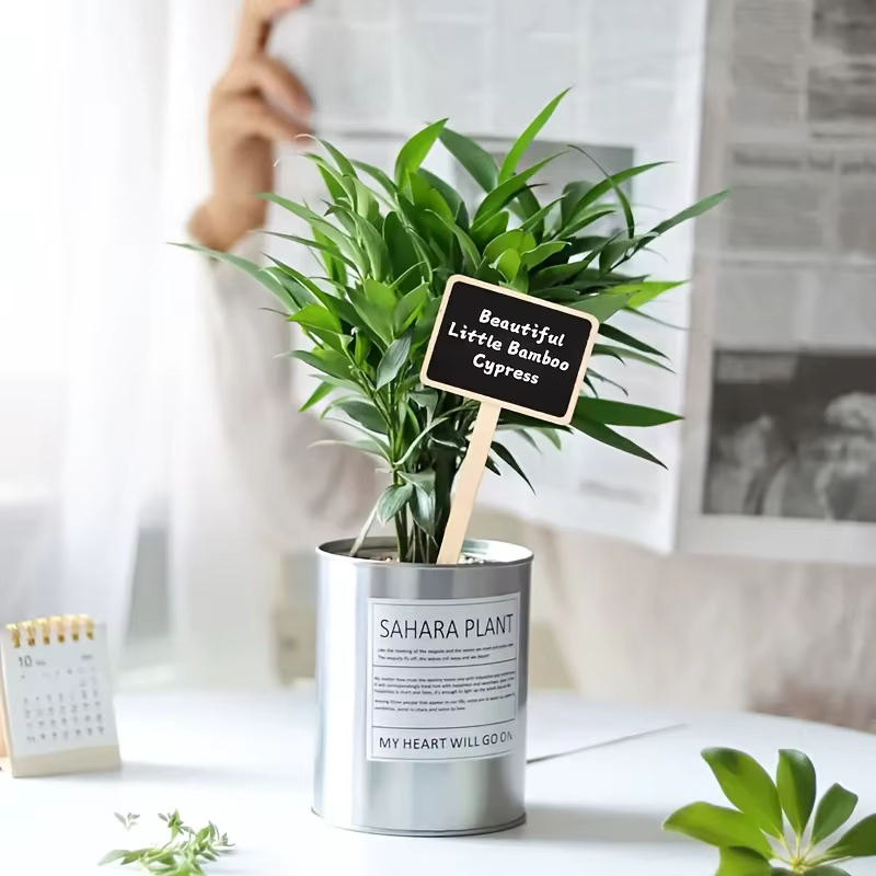 Étiquettes de plantes rustiques en bois, panneaux de jardin en forme de T, tableau noir, support au sol, 20 pièces