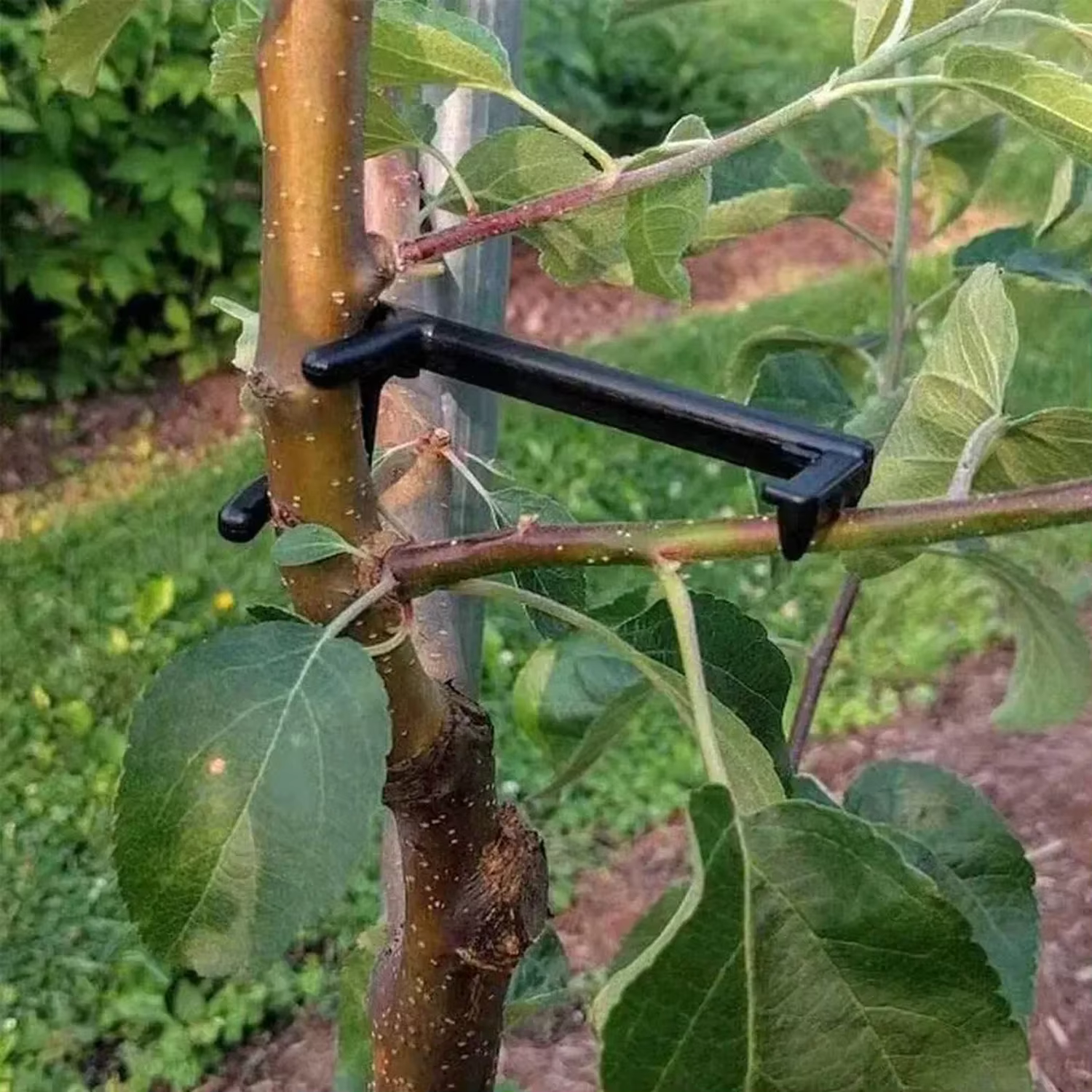 Épandeur d'arbres à branches