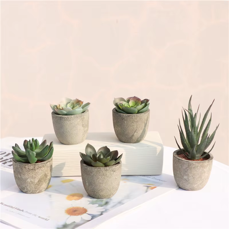 Mini plantes artificielles à l'aloe vera