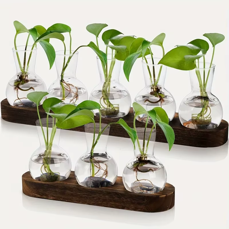 Terrarium en verre pour plantes avec plateau en bois – Pour vase hydroponique d'épandation intérieure