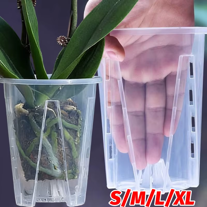 Pots à orchidées transparents en plastique avec trous de drainage pour la plantation d'orchidées papillon
