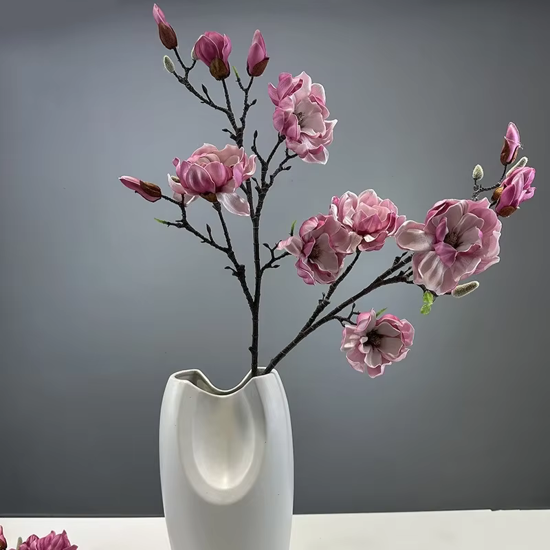 Simulation de Magnolias en PU