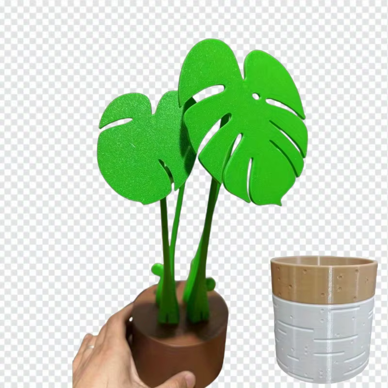 Monstera dessous de verre plante tortue bambou