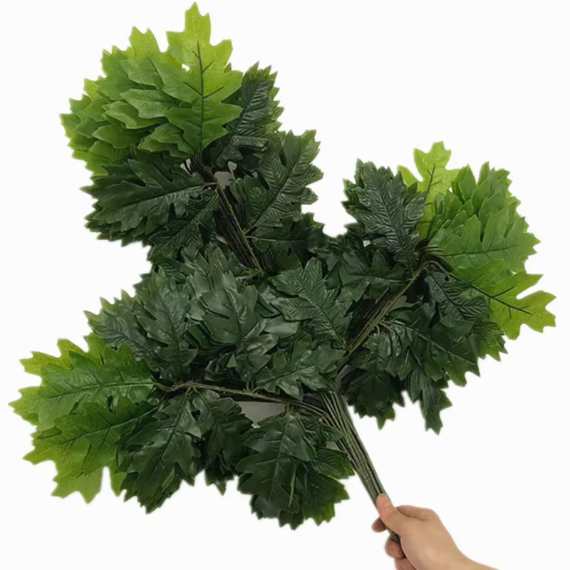 Branche de Cuir oral elu de Chêne Enduit de Colle Artificielle