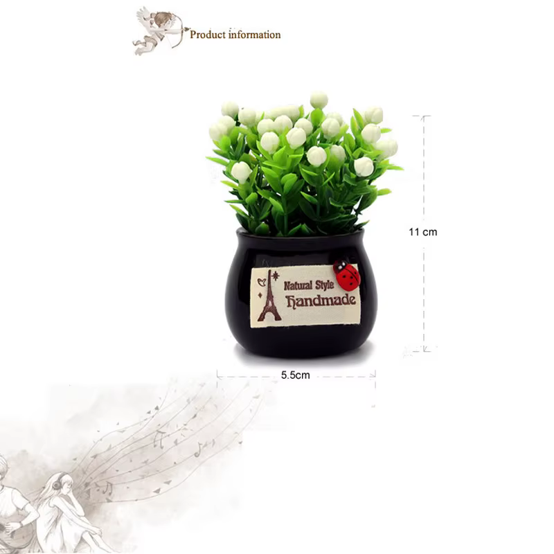 Plante porte-bonheur en pot