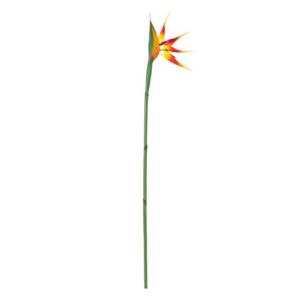 Nouvelle plante artificielle oiseau de paradis à longue tige