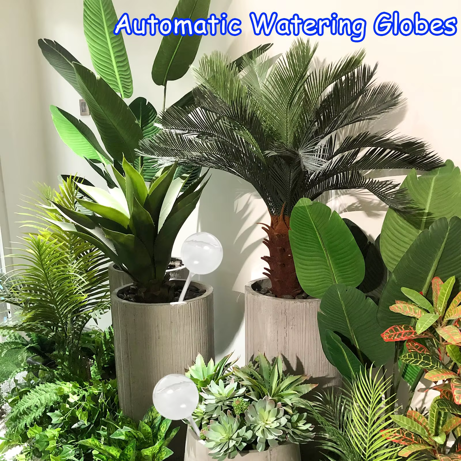 1 paquet de globe d'arrosage transparent pour plantes