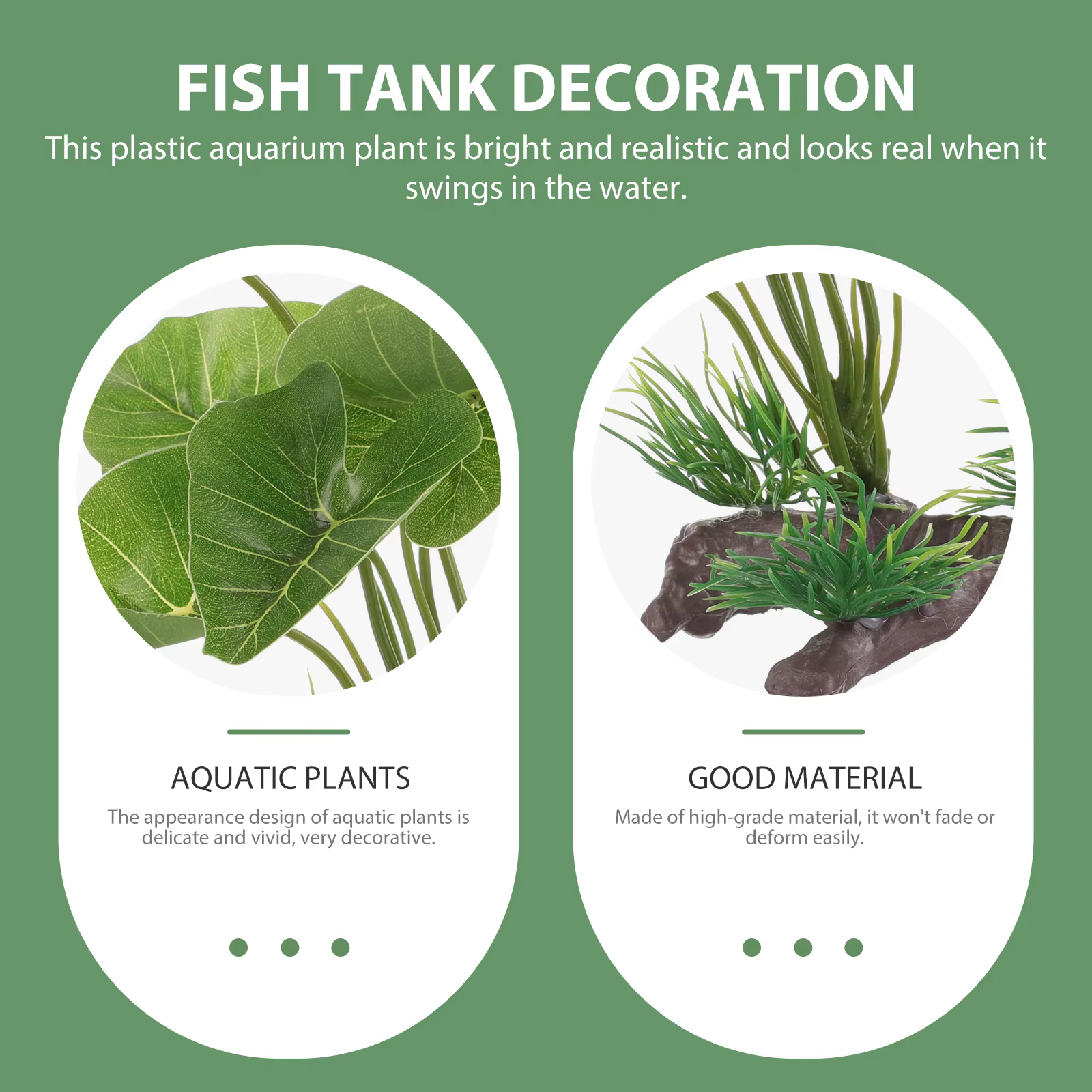 Plante pour Aquarium durable