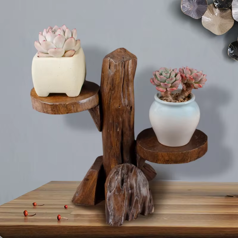 Support pour plantes succulentes en bois fait à la main