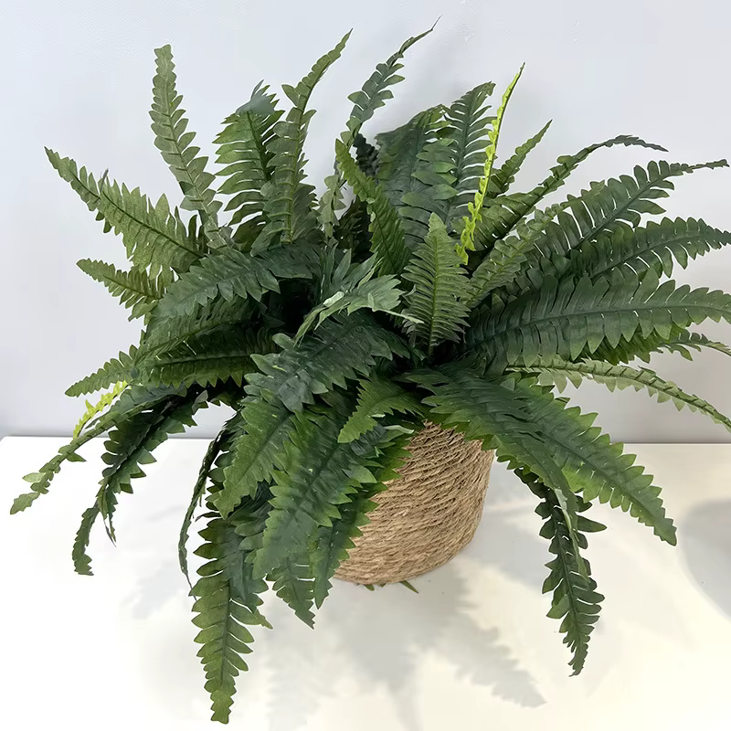 Plante de Fougère Artificielle
