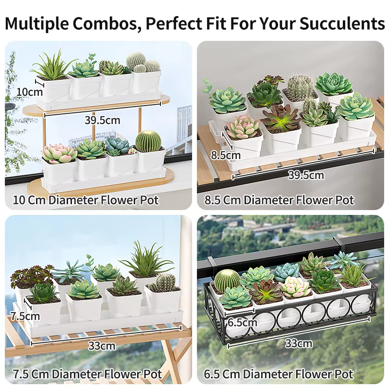 Pot à succulentes minimaliste nordique avec plateau