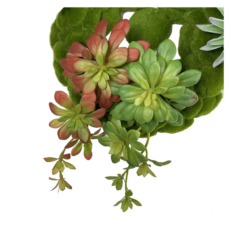 Plantes succulentes artificielles vertes et rouges