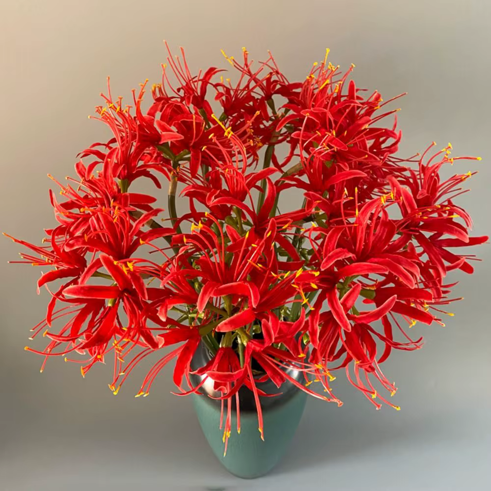 Branche de fleur Higanbana artificielle 60cm