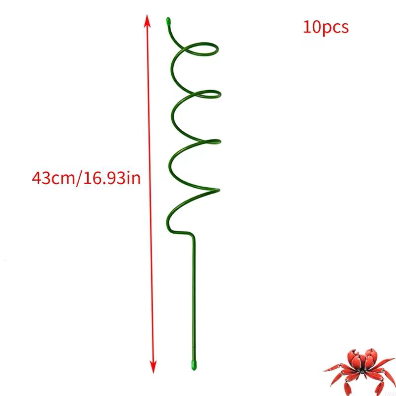 Support réutilisable pour plantes grimpantes