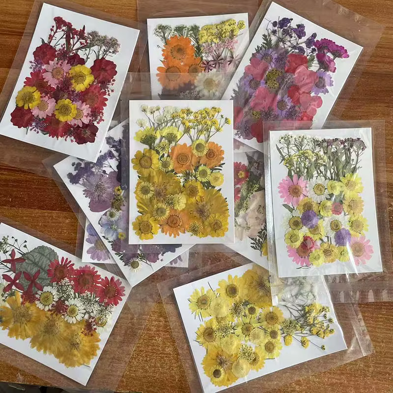 Kit de matériaux combinés de feuilles de fleurs séchées