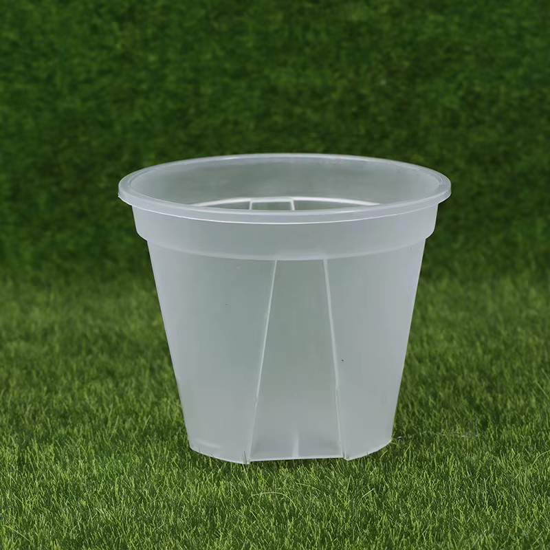 Pot de fleur Transparent avec plateau