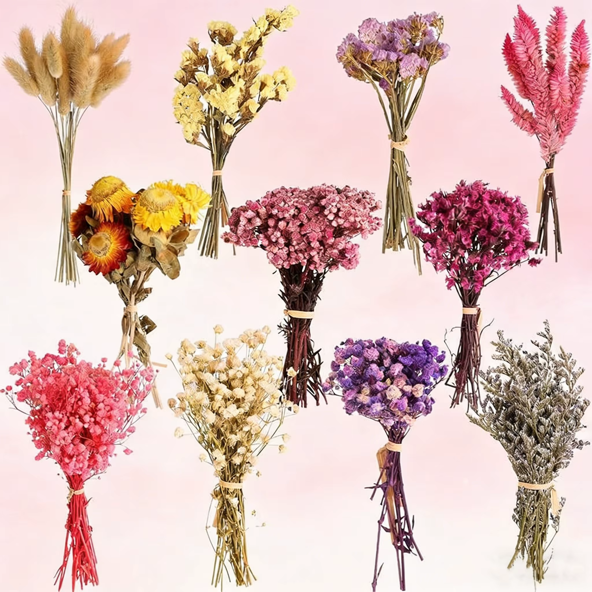 Coffret de matériaux de fleurs séchées mélangées