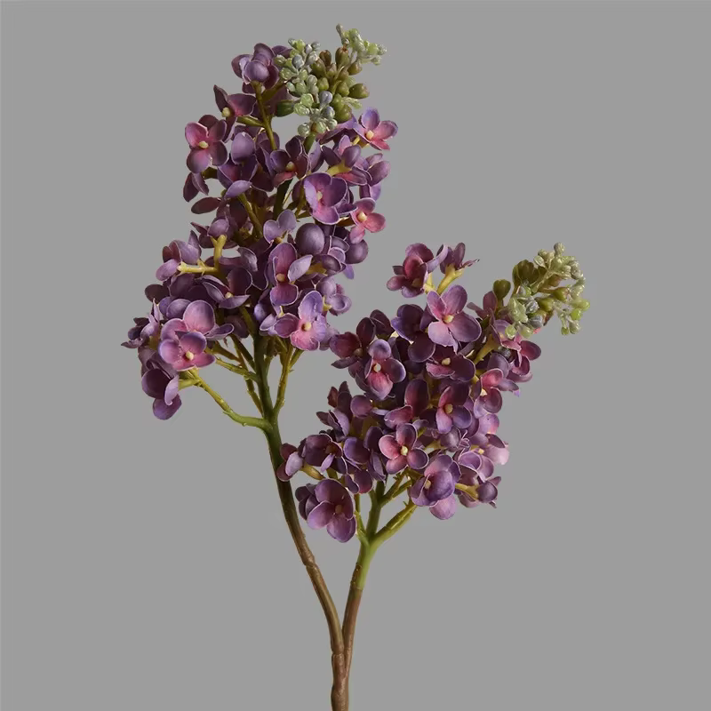 Fleurs Artificielles CAN ac Hydratantes