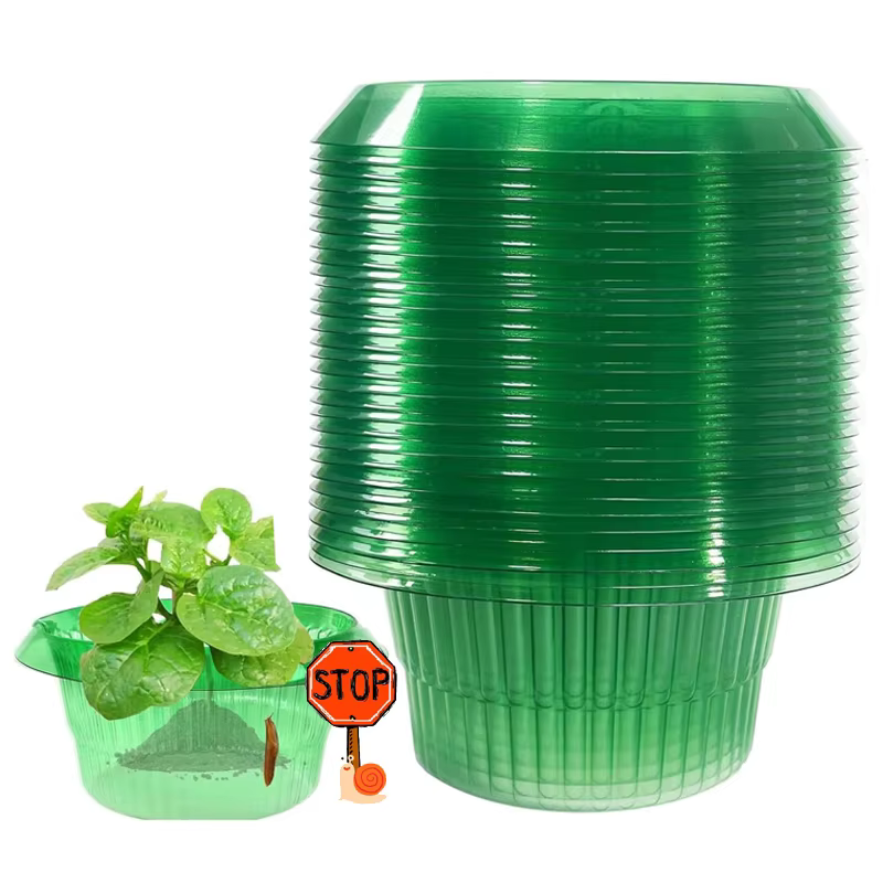 Anneaux de Protection des limaces pour plantes