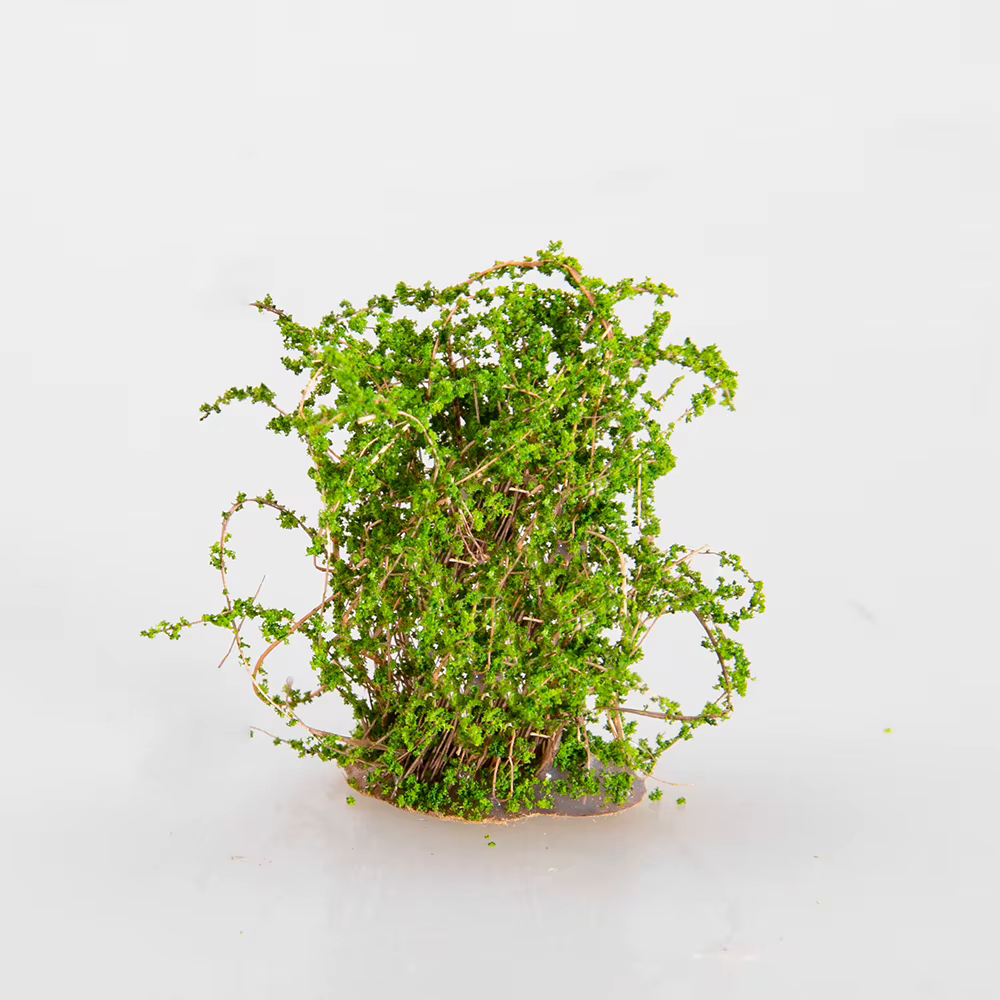 Plantes artificielles miniatures
