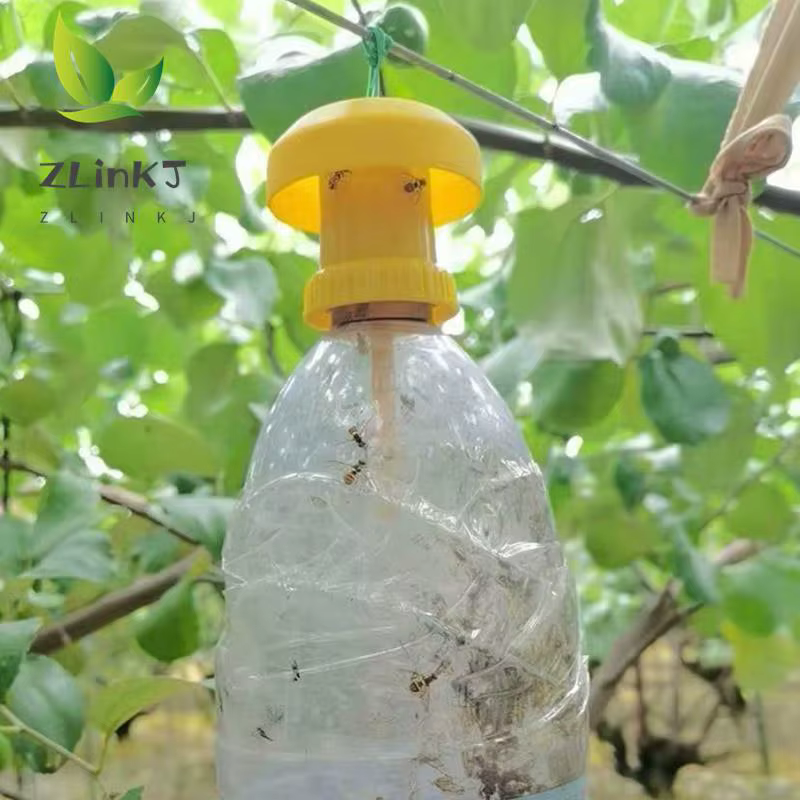 Flypaper-Piège à insectes antiparasitaires pour la maison