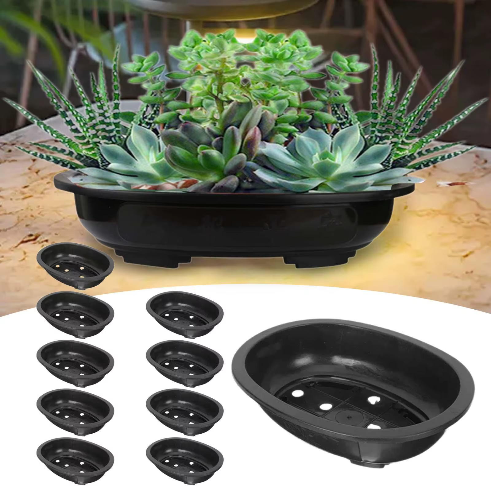 10 pièces Pots d'entraînement de bonsaï Pot de jardinière