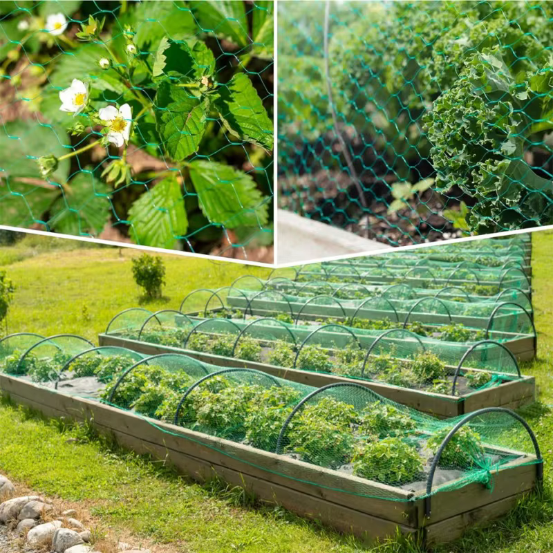 Filets à oiseaux verts pour protéger les plantes