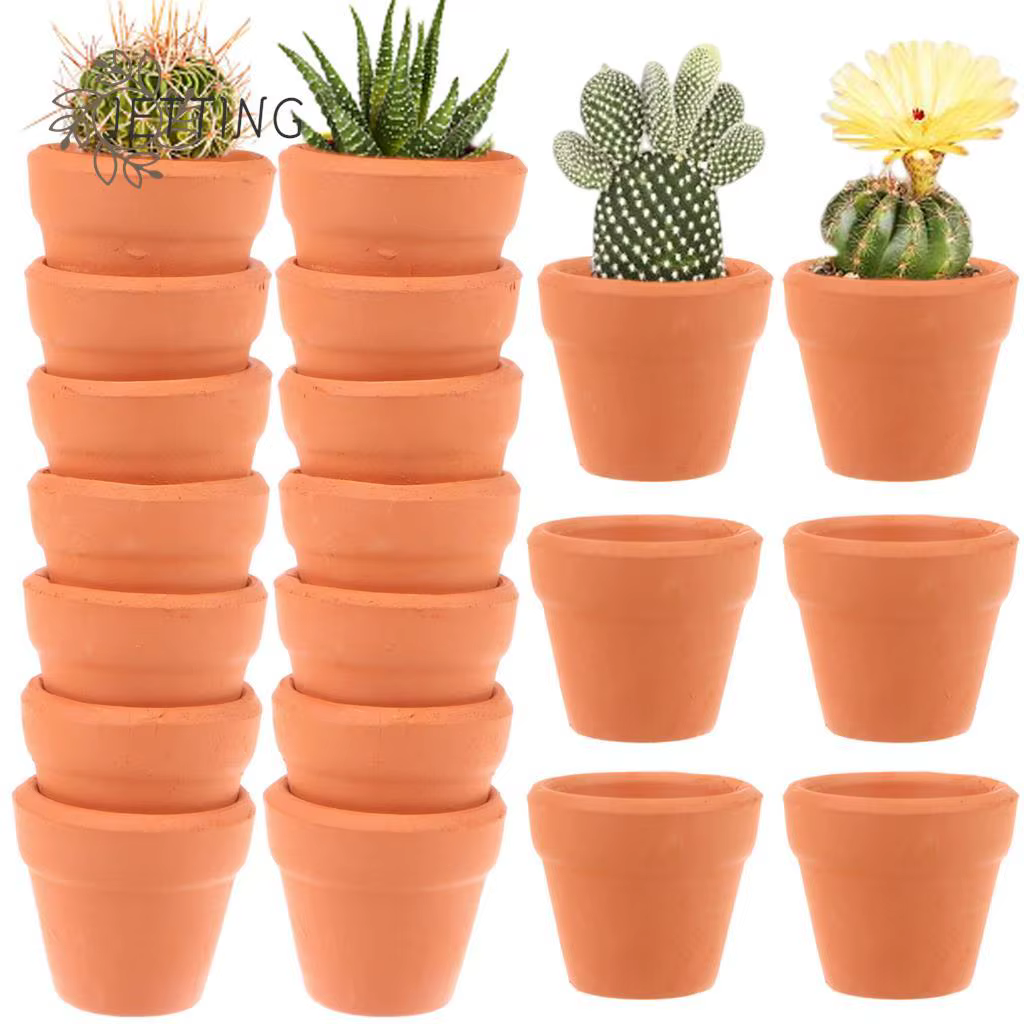 Mini jardinière en argile avec trous de proximité