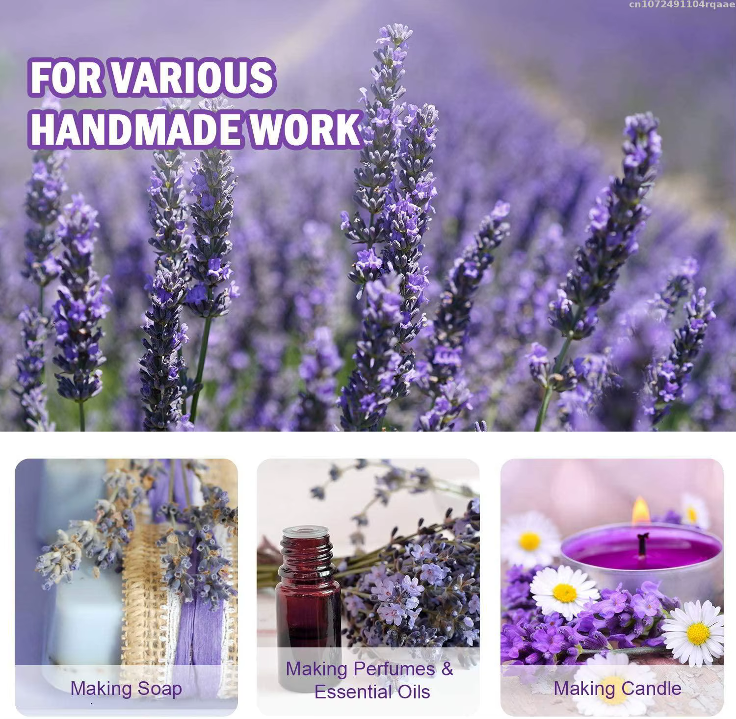 Fleurs séchées SnapLavender