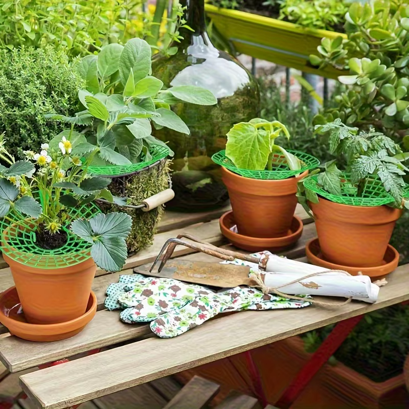 Support de plantation robuste pour fraises et pastèques (20/50 pièces) - Cadre