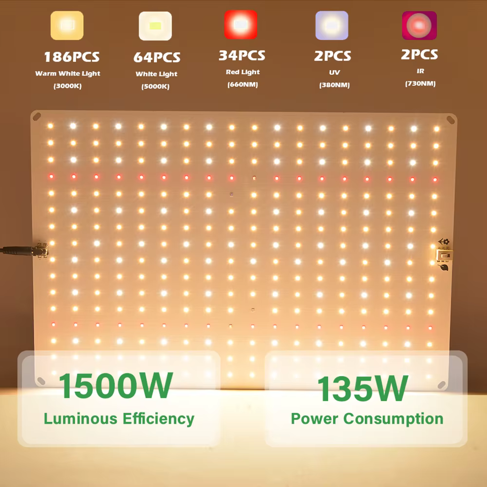 Leclstar Quantum LED élèvent la lumière phytolampe végétale et floraison