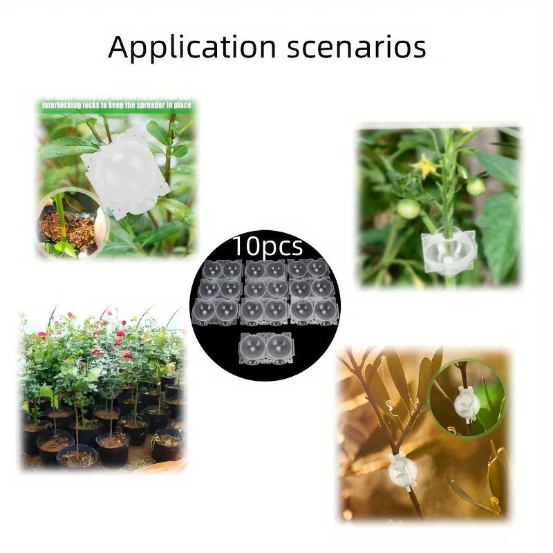 Boule d'enracinement de plantes à haute pression