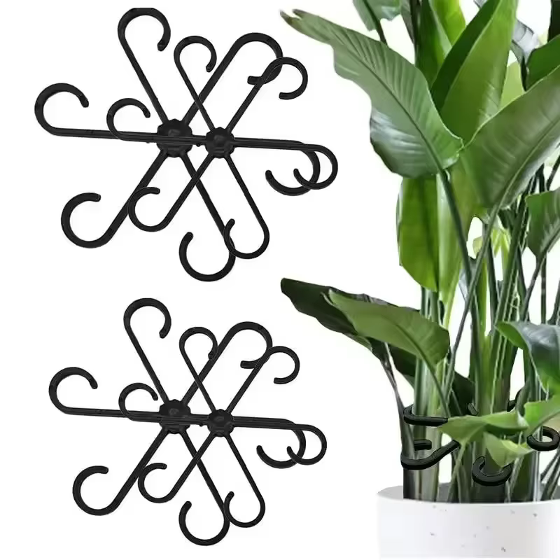 Supports de feuilles pour Alocasia et Monstera