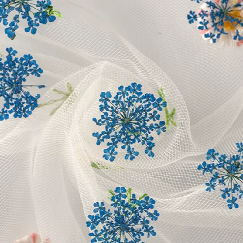 Fleurs séchées pressées pour résine Art Ammi Majus