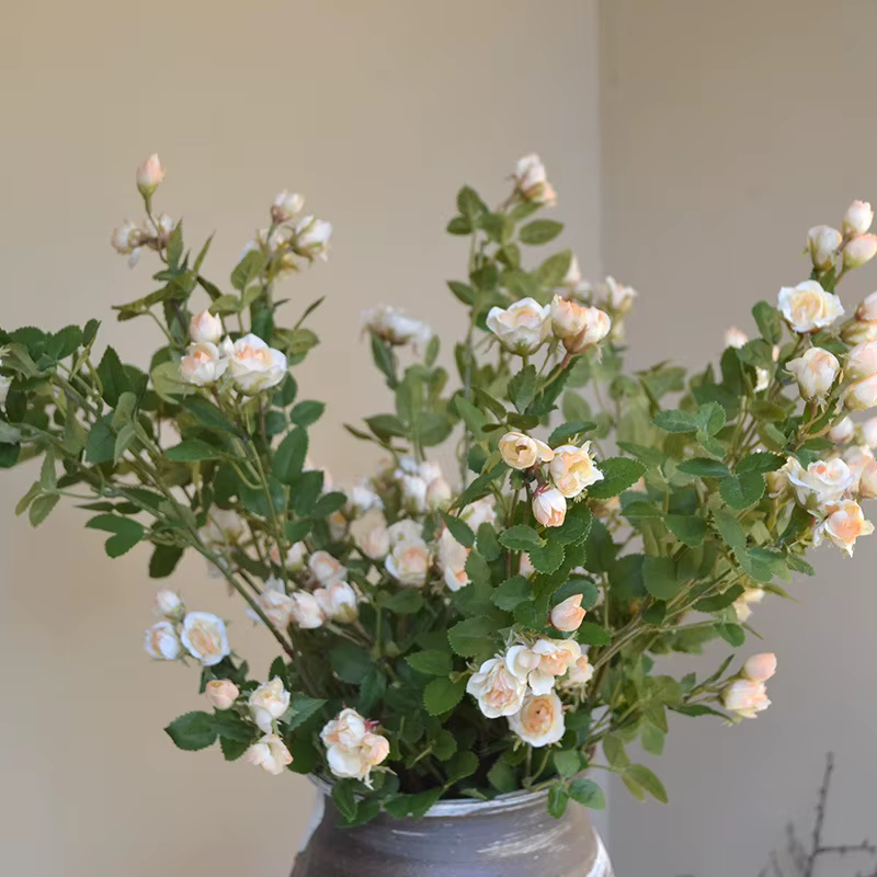 Mini Bouquet de roses, plantes