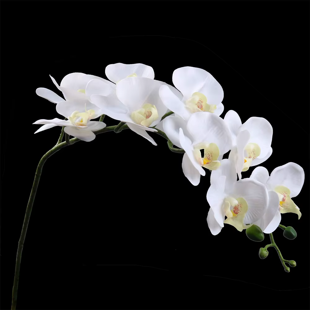 Branches de fleurs artificielles de Phalaenopsis