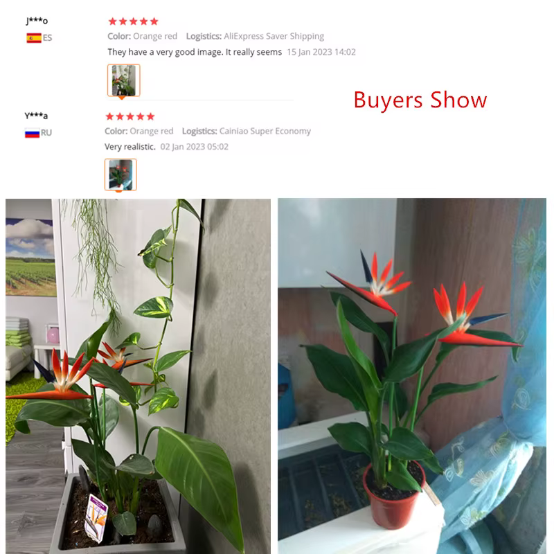 Fleurs artificielles en PU Real Touch