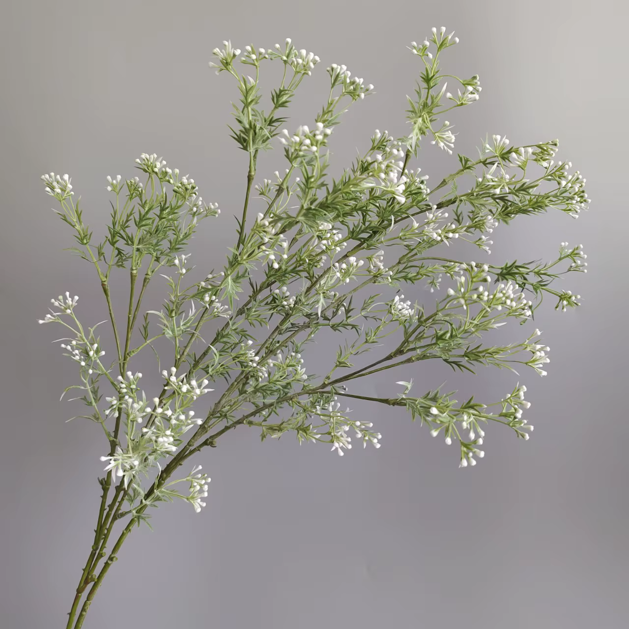 Fleurs artificielles en céleri et gypsophile