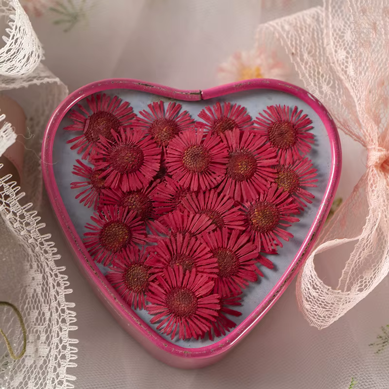 Fleurs de chrysanthème séchées pressées de 2-3 cm pour la fabrication de décorations DIY